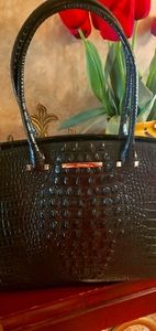 Brahmin Alice Carryall